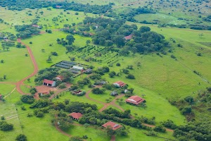 Rincón del Socorro