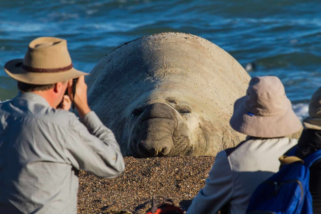 Sightseeing tours in Argentina